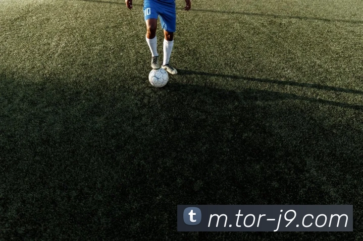 App Interface Preview